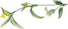 Shape Image Three