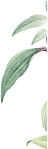 Shape Image Three